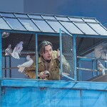 И. Балалаев, "Любовь и голуби"